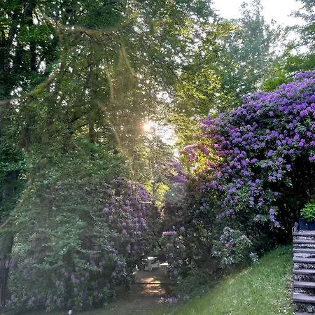 Sorpe - Entspannte Urlaubstage Am See! Holiday home Langscheid (North Rhine-Westphalia)