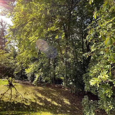 Holiday home Sorpe - Entspannte Urlaubstage Am See! *